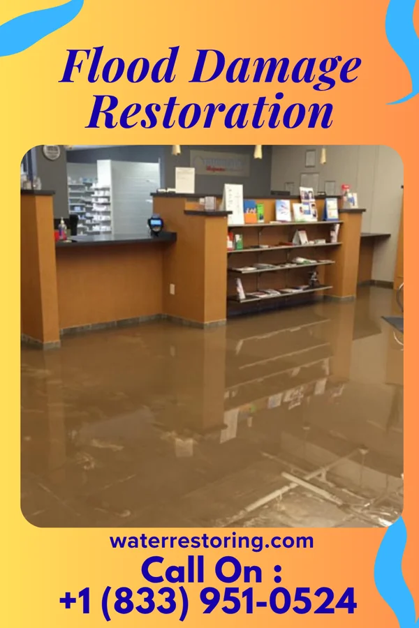 Flood Damage Restoration in Beaver, OK